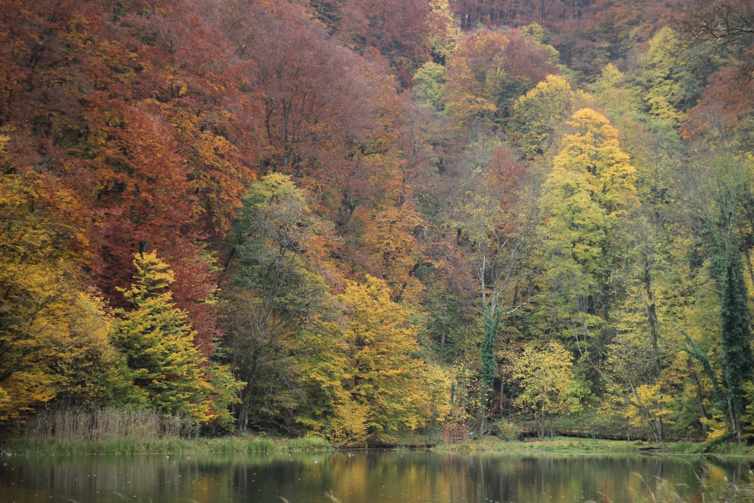 Linn ja loodus: harmoonia läbi kaamera